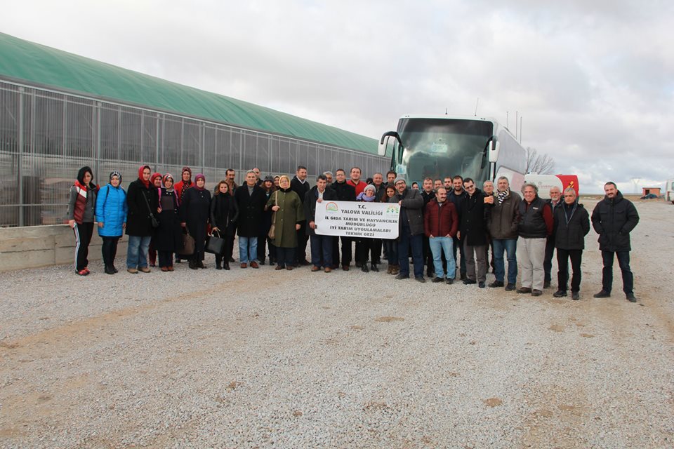 Eskişehir Şerefiye Mahallesinde Termal Suyla Isıtılan Topraksız Tarım